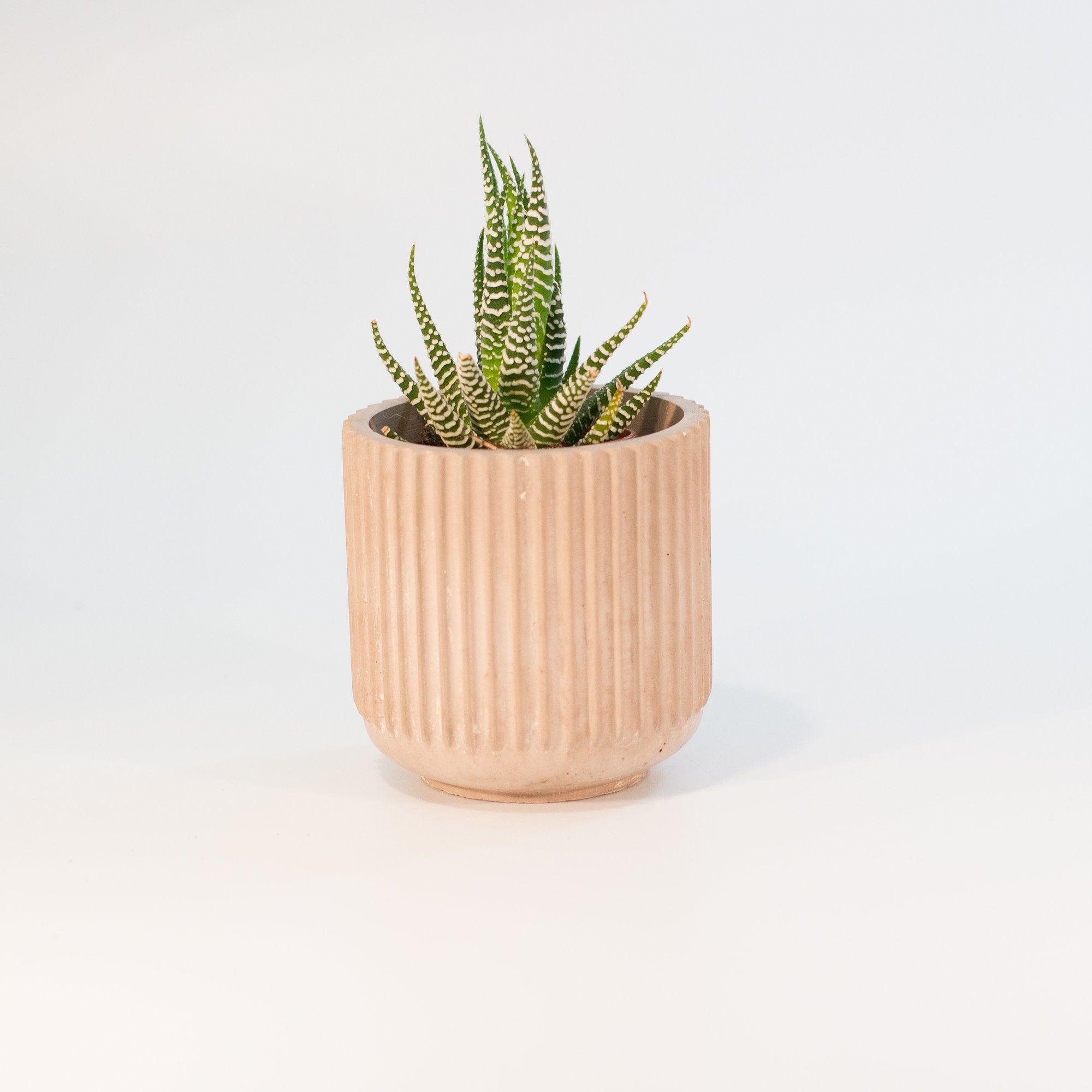 3" Ridge Silicone Pot Mold - Modern Craft Labs