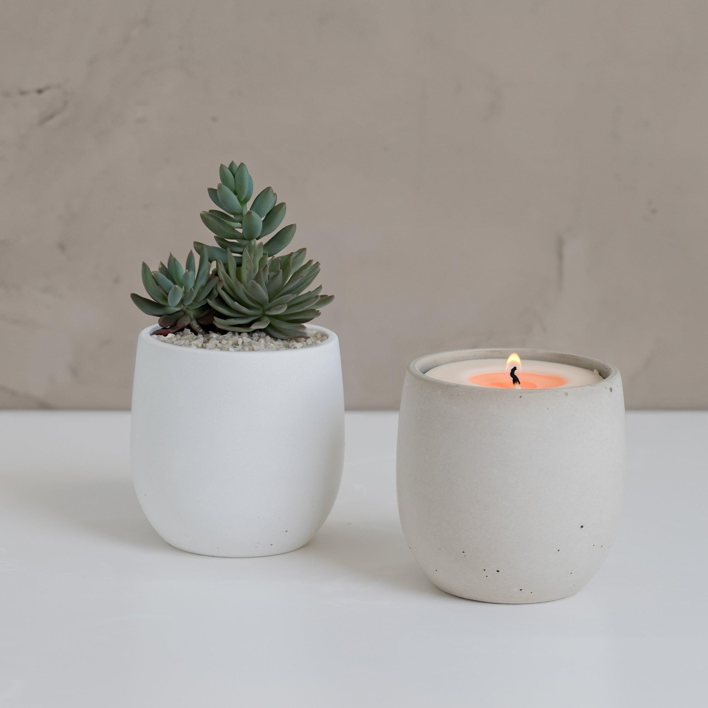 Rowan Jar, Small Candle Collection - Modern Craft Labs